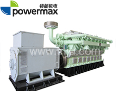 300系列800-3000KW沼氣發(fā)電機(jī)組